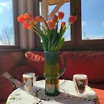 Piesn Poranka * Lysina
