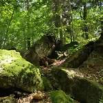 Piesn Poranka Lysina