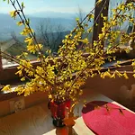 Piesn Poranka Nyaraló