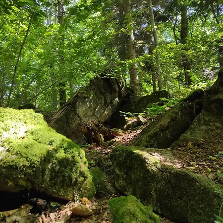 Piesn Poranka Lysina