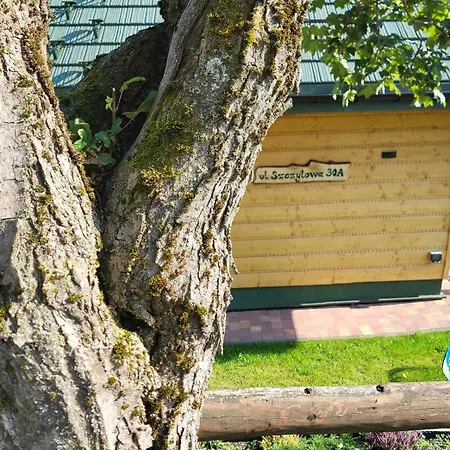 Piesn Poranka Lysina