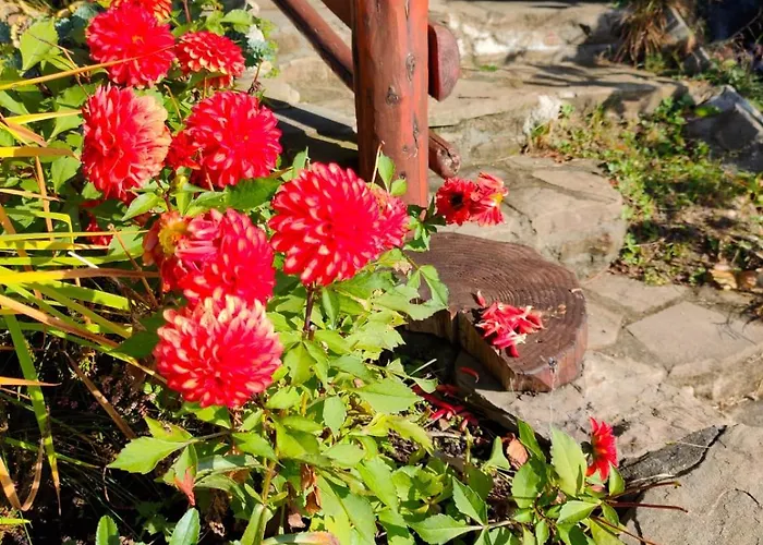 Prázdninový dům Piesn Poranka Lysina