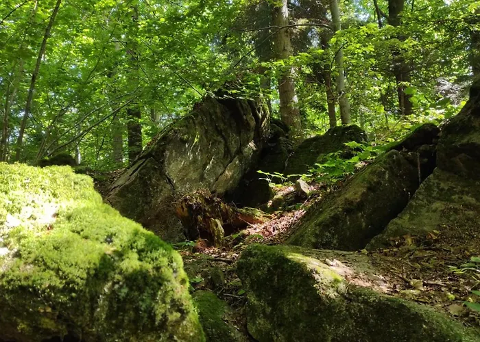 Piesn Poranka Lysina