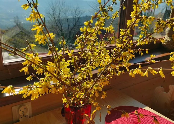 Piesn Poranka Prázdninový dům