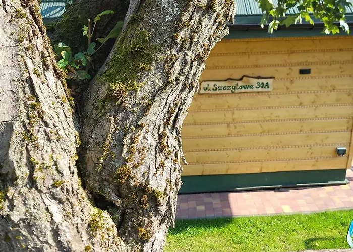 Piesn Poranka Lysina